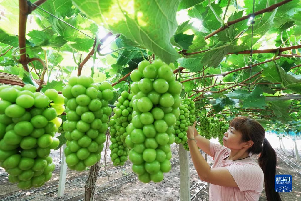 一天赚300无需本金